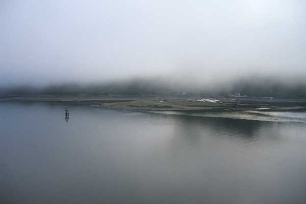 Juneau Shores in Fog